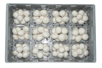 12 punnett of White button mushroom in 200 g. size, packing on gray plastic tray, isolated on white background.