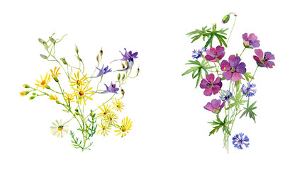 Two watercolor bouquet of wild flowers on a white background