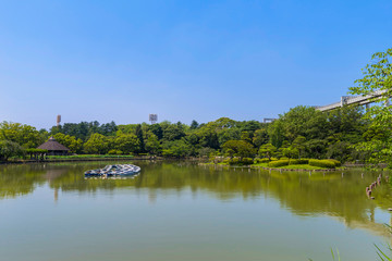 Fototapeta na wymiar 千葉公園の綿打池の風景