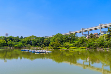 Fototapeta premium 千葉公園の綿打池の風景