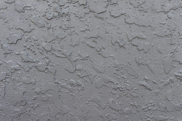 Texture Wall Cement Gray