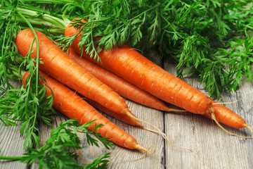 Close up of fresh carrot on rustic wooden background