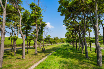 千葉ポートパークの風景