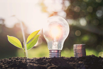 Energy saving lamps and planting trees on the soil ground Electric energy saving concept