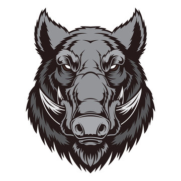 Wild Boar Head Mascot.