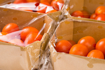 ripe cherry tomatoes packages in box and plastic