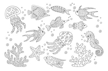 Hand drawn sea fish, coloring page