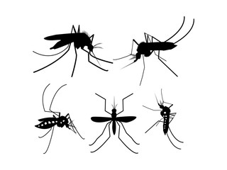 mosquito repellent illustration vector.Mosquitoes carry many disease such as dengue fever, zika disease,yellow fever and chikungunya.