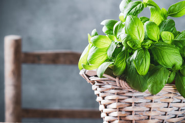 Pesto sauce in a olive wooden bowl with pine nuts, basil, parmesan and garlic over rustic table.