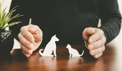 Concept of pet insurance