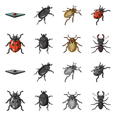 Vector design of insect and beetle icon. Set of insect and halloween stock symbol for web.