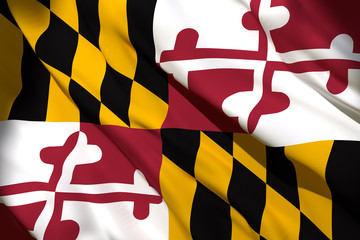 3d rendering of Maryland State flag