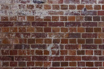 Obraz premium Texture Brick Wall Red White Paint