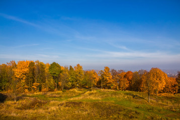 Fototapeta premium Smolensk forests are especially nice in autumn, when they are covered with multi-colored foliage.