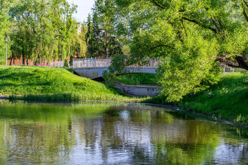 Fototapeta na wymiar Green park with trees and river. Sunny holiday