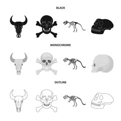 Isolated object of skeleton and character sign. Collection of skeleton and halloween stock symbol for web.