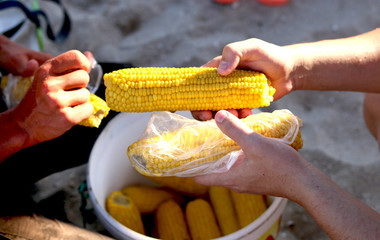  A man sells boiled corn on the beach in the summer at sea. Buying boiled finished young corn. Recreation and tourism.