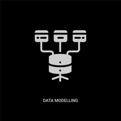 white data modelling vector icon on black background. modern flat data modelling from technology concept vector sign symbol can be use for web, mobile and logo.