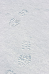 Foot steps on snow ground.