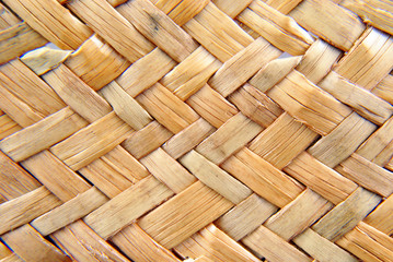 Palm Tree straw texture