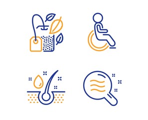 Mint bag, Disabled and Serum oil icons simple set. Skin condition sign. Mentha tea, Handicapped wheelchair, Healthy hairs. Search magnifier. Medical set. Linear mint bag icon. Colorful design set
