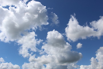 Naklejka na ściany i meble Blue sky with white fluffy big clouds