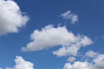 Naklejka na ściany i meble Blue sky with white fluffy big clouds