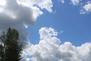 Sky with lot white clouds above forest trees. Nature and freedom concept.