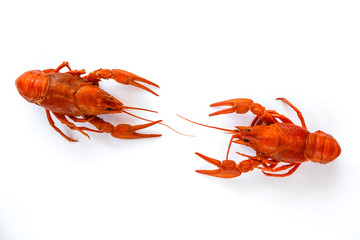 Two boiled crawfish isolated on white. top view. Flat lay.