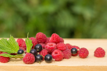  fresh raspberries and currants