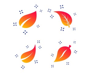 Obraz premium Leaf icon. Fresh natural product symbols. Tree leaves signs. Random dynamic shapes. Gradient leaf icon. Vector