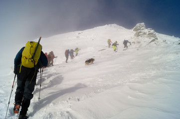 Winter adventures. To the summit. Carpathians. Ukraine.	 Group of climbers. People go to the mountain. A man with a backpack. People with trekking poles. Climbers go through the snow. Yellow backpack.