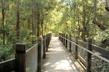 Yuelarbah Walking Track Glenrock Australia
