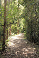 Fototapeta na wymiar Yuelarbah Walking Track Glenrock Australia