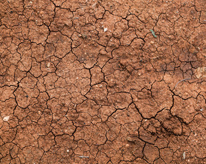 Dry Dirt Texture