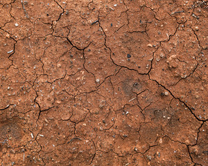 Dry Dirt Texture