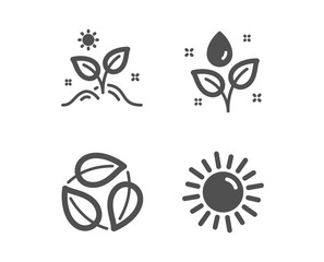 Set of Leaves, Plants watering and Grow plant icons. Sun sign. Nature leaf, Water drop, Leaves. Summer.  Classic design leaves icon. Flat design. Vector