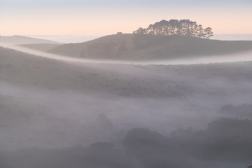Summer landscape with fog in valley above river, foggy morning. Landscape of fields with grass in the morning. Empty pasture for cattle. Romantic foggy morning in the mountains.