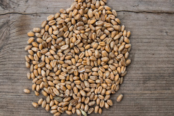 Wheat grain close-up, agricultural background