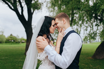 Beautiful newlyweds are hugging against the background of green grass and willows in the park and garden. Wedding portrait of a stylish bride and a beautiful bride with curly hair in a white dress.