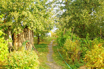 autumn garden in the village , Russia