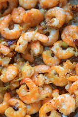shrimps