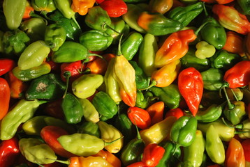 colorful peppers