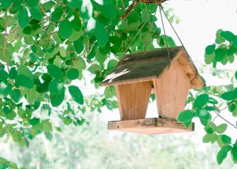 Wooden feeder with a roof for birds and squirrels, hanging on a tree branch on a rope. Feeding animals.