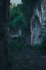 ruins in the forest
