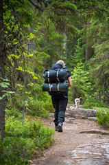 Obraz premium Wooman hiking in forest