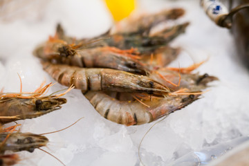 fresh fish and oysters in the restaurant.