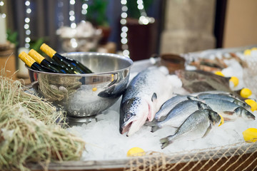 fresh fish and oysters in the restaurant.