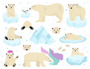 Polar bears set, teddy bear in Arctic