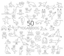 Fototapeta na wymiar Yoga dogs poses and exercises doing clipart. Funny cartoon simple linear poster design